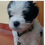 Caleb Meza - @calebmeza43 - Instagram