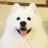 CalebMichael - @2159088465 - TikTok