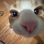 Caleb Milligan - @_milligann - Instagram