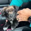Caleb Milne - @caleb.milne0 - TikTok
