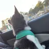 Caleb Minnick - @caleb.minnick - TikTok