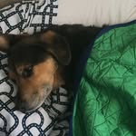 Caleb Mock - @caleb42062021 - Instagram
