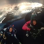 Caleb Mock - @darth_ridiculous - Instagram