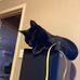 Caleb Moffatt - Facebook