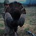 Kaleb Moody - Facebook