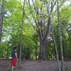 Caleb More - @calebmore4 - TikTok