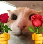 Caleb Moreno - Facebook