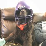 Caleb Mortensen - Facebook