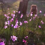Caleb Morton - @cmorephotography - Instagram