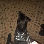 Caleb Mount - Facebook