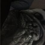 Calebmountain - @calebmountain - Instagram