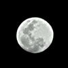 Caleb Moyer - @caleb.moyer59 - TikTok