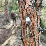Caleb Moyer - @caleb.moyer.359 - Instagram
