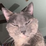 Caleb Moyer - @clabobab - Instagram