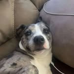 Caleb Mullins - @caleb_mullins11 - Instagram
