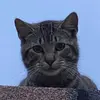 Caleb Muñoz - @caleb.muoz1 - TikTok