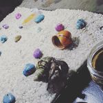Caleb myers - @calebmyers - Instagram