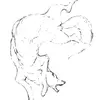 Caleb_Northway - @caleb_northway - TikTok