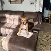 calebnewell - @atlanticslice - TikTok