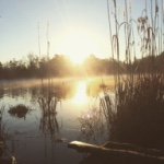 Caleb Newman - @calebnewman13 - Instagram