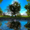 caleb.nickell1 - @caleb.nickell1 - TikTok