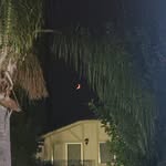 Caleb Nielsen - @caleb_nielsen21 - Instagram