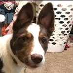 cale nieman - @cale.nieman - Instagram