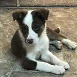 cale scott nieman - @cale_nieman - Instagram
