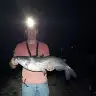 Caleb Nieman - @user312669304 - TikTok