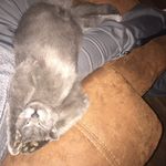 Caleb Niles - @c_joshua_2020 - Instagram