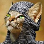 caleb nolen - @armor_cat - Instagram