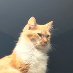 Caleb Nolen - @nolen4888 - Instagram