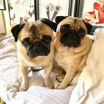 Caleb Norris - @caleb0027 - Instagram