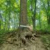 Caleb Northrup - Facebook