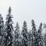Caleb Norton - @calebnorton81 - Instagram