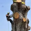 Caleb Nottingham - @caleb_climbs - TikTok