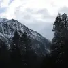 Caleb Oakley - @caleb.oakley3 - TikTok