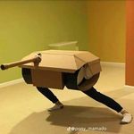 Caleb ocasio - @caleb12082023 - Instagram