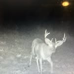 Caleb odell - @odell218 - Instagram