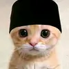 PP KUCING - @caleboke_ - TikTok