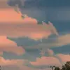 Cale - @caleb.ott11 - TikTok