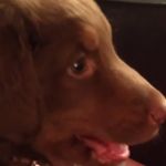Caleb Otte - @caleb_otte - Instagram