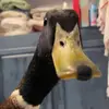 calebb412 - @calebottt - TikTok