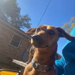 Caleb_etx - @calebotten35 - Instagram