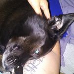 calebiasiahmendez - @best_outlaw_player_caleb_26 - Instagram