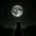 Caleb Pacheco - @calebpacheco766 - Instagram