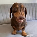 @caleb._.fan._.page - Instagram