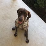 Caleb Palmer - @calebpalmer_6 - Instagram