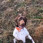 Caleb Palmer - @calebpalmer9299 - Instagram