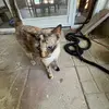 caleb_parent - @caleb_parent - TikTok